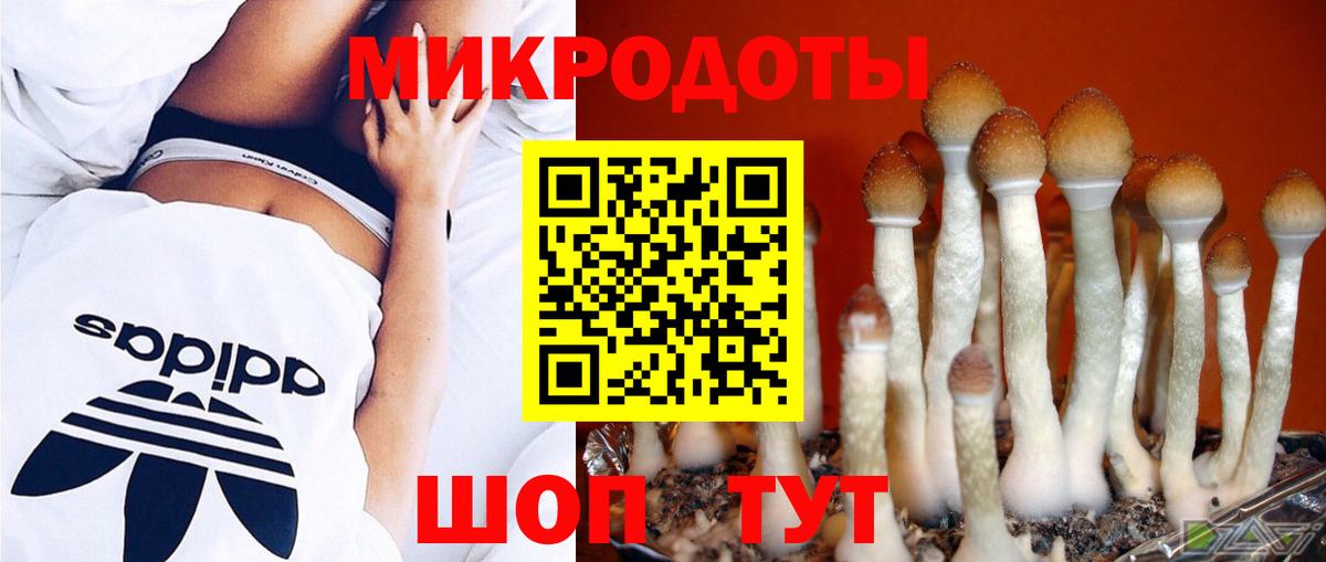 Галлюциногенные грибы MAGIC MUSHROOMS Усолье-Сибирское