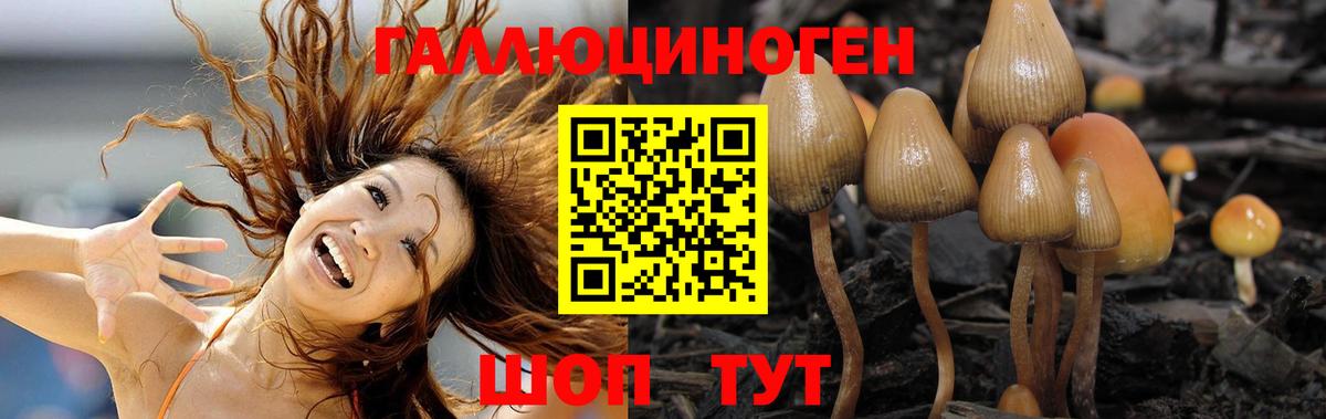 Галлюциногенные грибы MAGIC MUSHROOMS  Вход с VPN  Усолье-Сибирское  Галлюциногенные грибы Magic Shrooms 